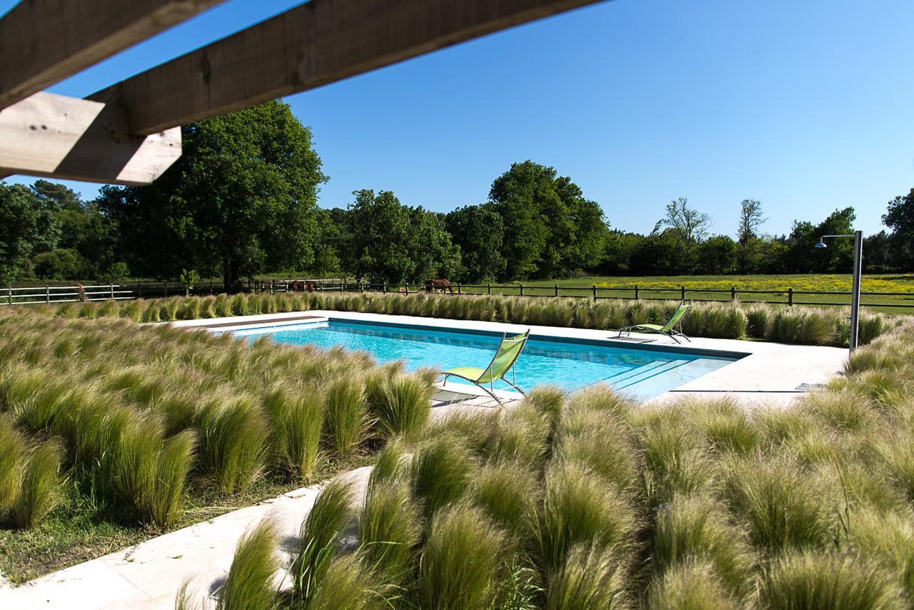 Les Cinq Sens Du Chateau Mayne Lalande Hotel กัสเตลนู-เดอ-มีดอค ภายนอก รูปภาพ
